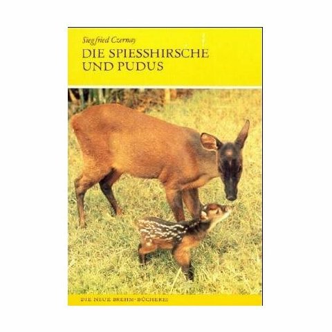 die Deutschpuduen -- German pudus