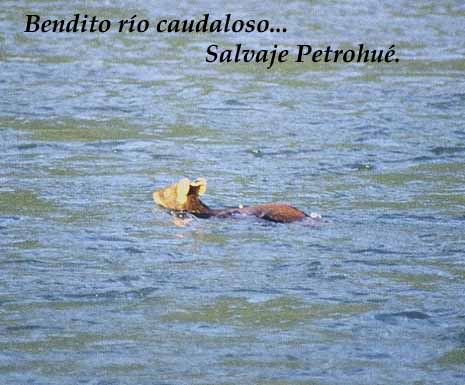 Keeping my head above water