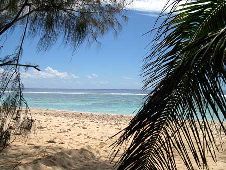 Welcome to Screensaver Island